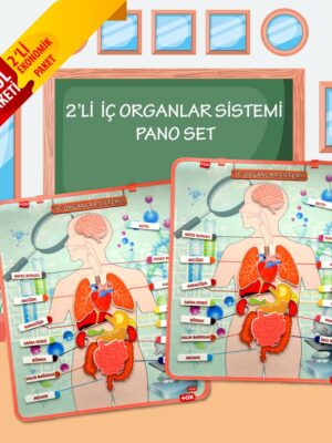 Lisinya247 2 Set - 52 Parça  İç Organlar Sistemi Keçe Duvar Panoları , Eğitici Oyuncak
