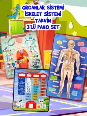 Lisinya247 3 Set -106 Parça  İç Organlar , İskelet  Sistemi ve Takvimi Öğreniyorum Keçe Cırtlı Duvar Panoları , Eğitici Oyuncak