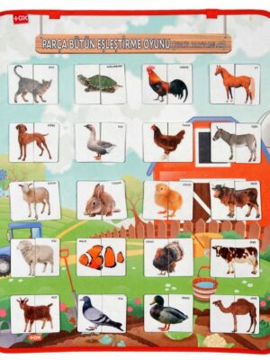 Lisinya247 Parça Bütün Eşleştirme - Evcil Hayvanlar Keçe Cırtlı Duvar Panosu , Eğitici Oyuncak